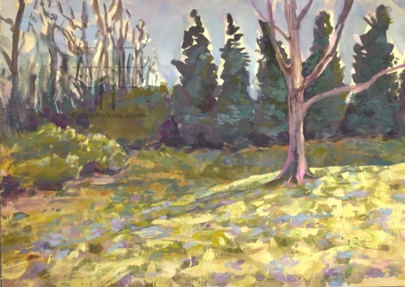 Spring flowers in a grassy patch - March 30 '22